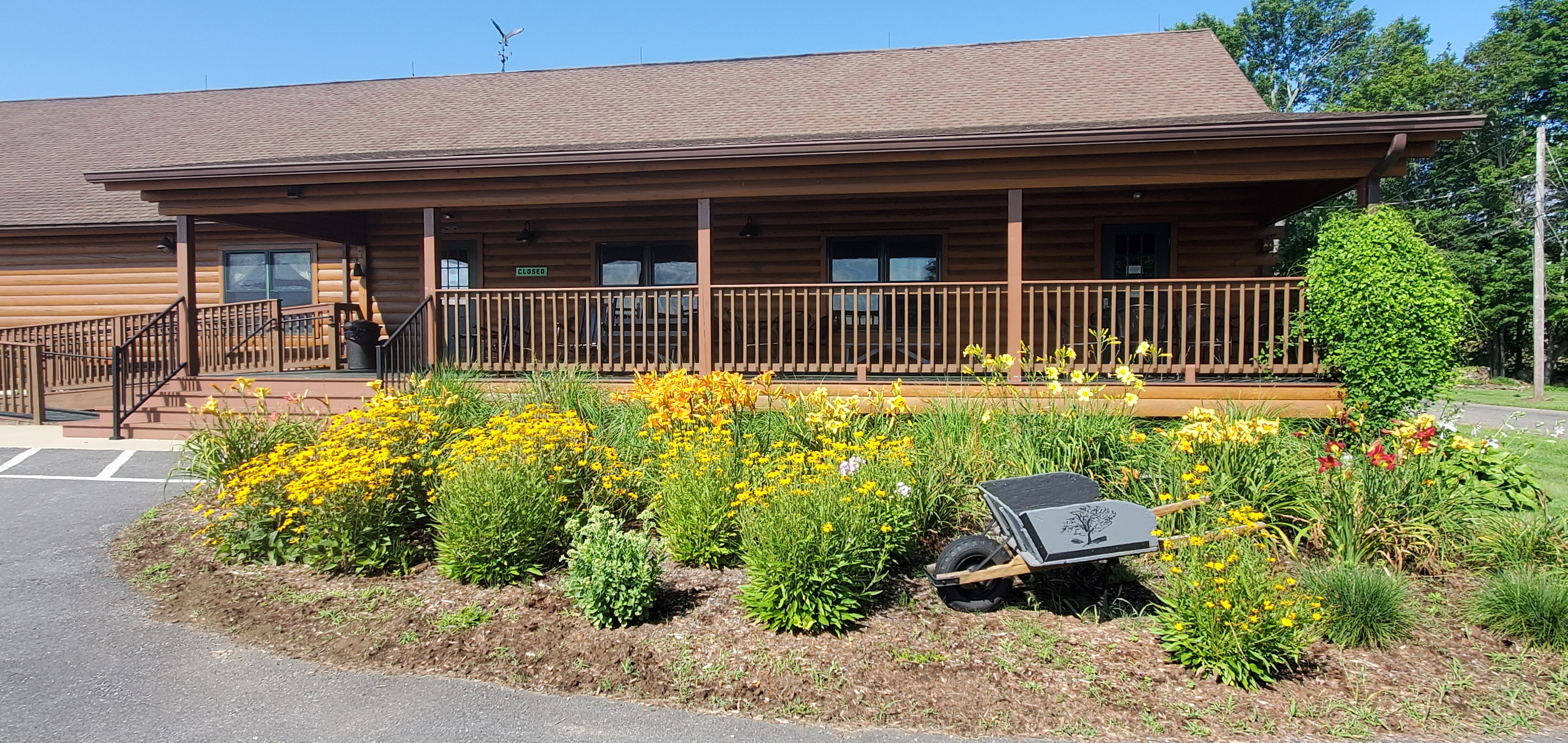 Cassidy Hill Vineyard photo